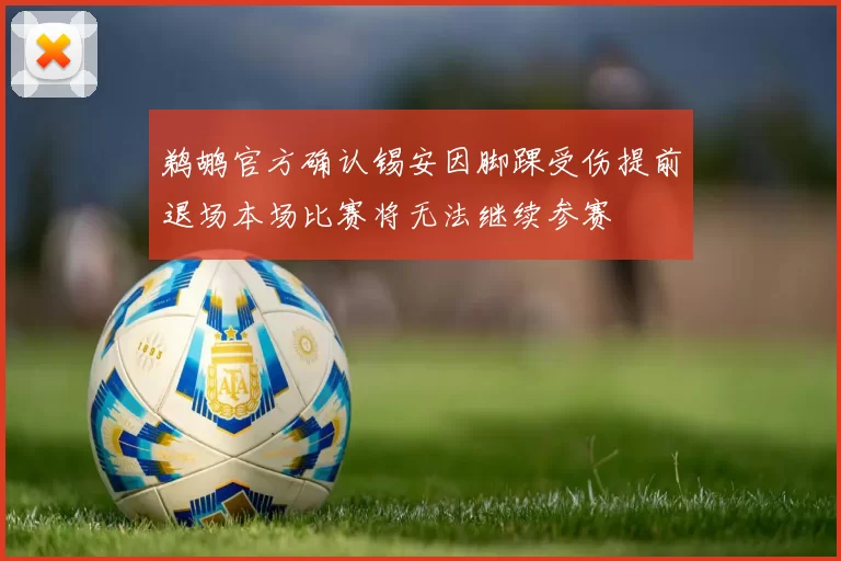 鹈鹕官方确认锡安因脚踝受伤提前退场本场比赛将无法继续参赛